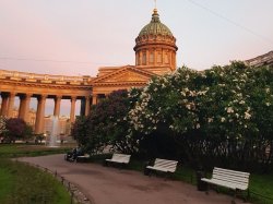 День города